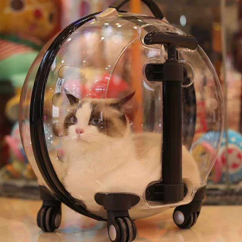 Transparent MC THE BLACK DIAMOND cat carrier backpack with hard sides, large capacity, and trolley handle for outdoor travel.