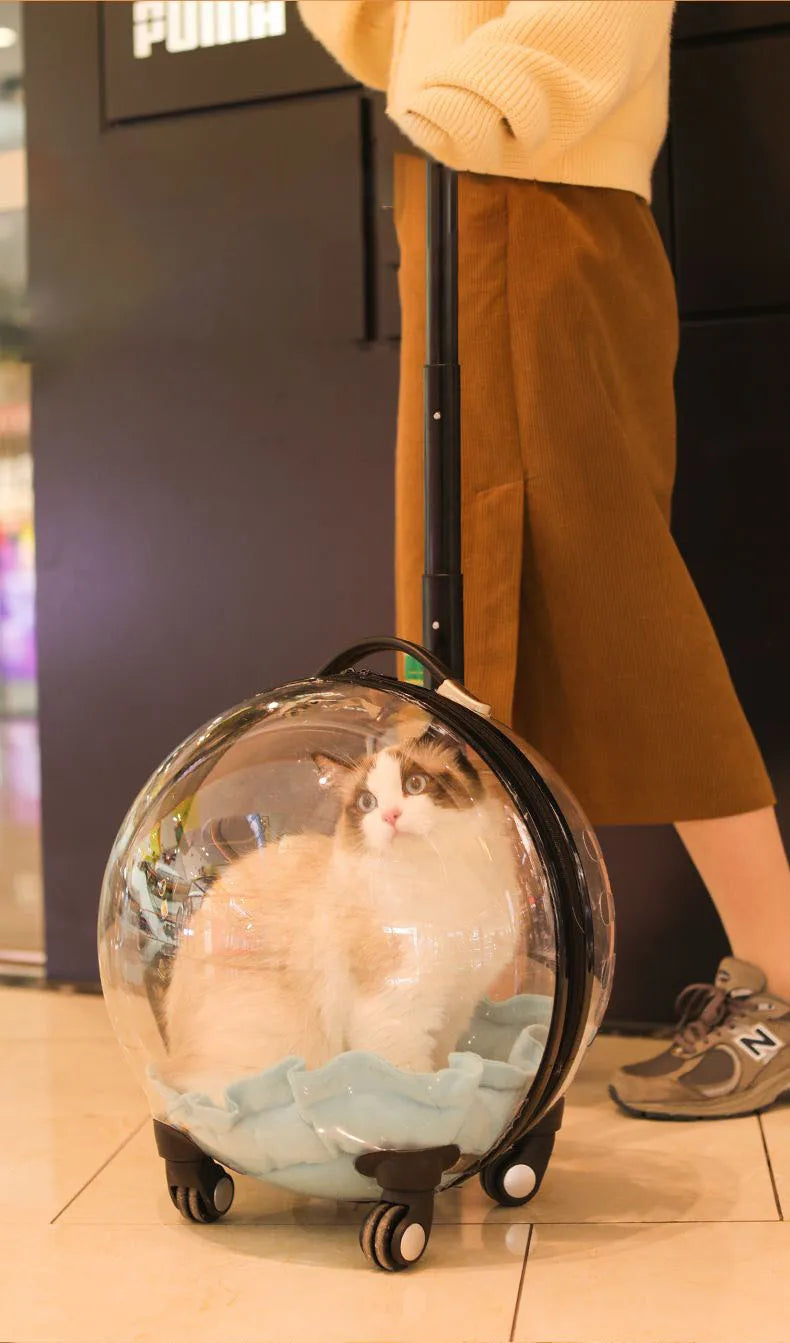 Transparent MC The Black Diamond cat carrier with hard sides, large capacity, trolley handle, and space capsule design for outdoor travel.