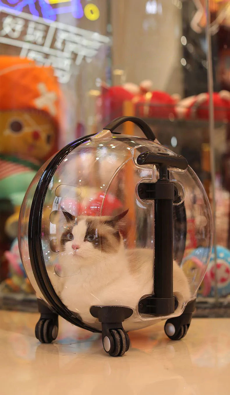 MC THE BLACK DIAMOND transparent cat carrier in hard-sided outdoor trolley case with large capacity and space capsule design for pets.