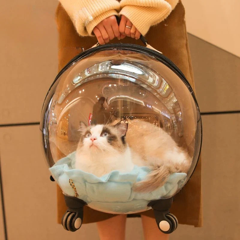 Transparent MC THE BLACK DIAMOND cat carrier backpack with hard sides, spacious, portable trolley case for outdoor travel.