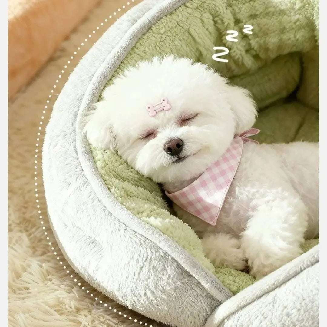 Small dog Teddy Bear winter pet bed by MC THE BLACK DIAMOND, thick and cozy for all-season comfort and security.