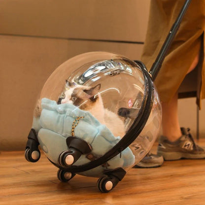 Transparent MC THE BLACK DIAMOND cat carrier backpack with hard sides, large capacity, and space capsule design for outdoor travel.