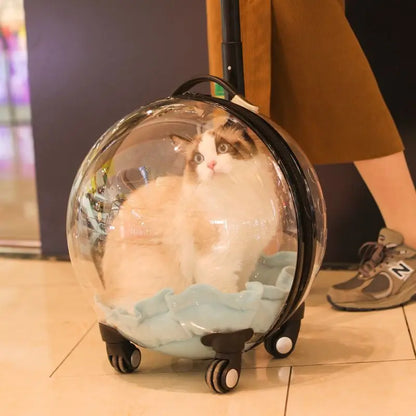 Transparent hard-sided cat carrier by MC THE BLACK DIAMOND, portable outdoor trolley case with large capacity for pets.