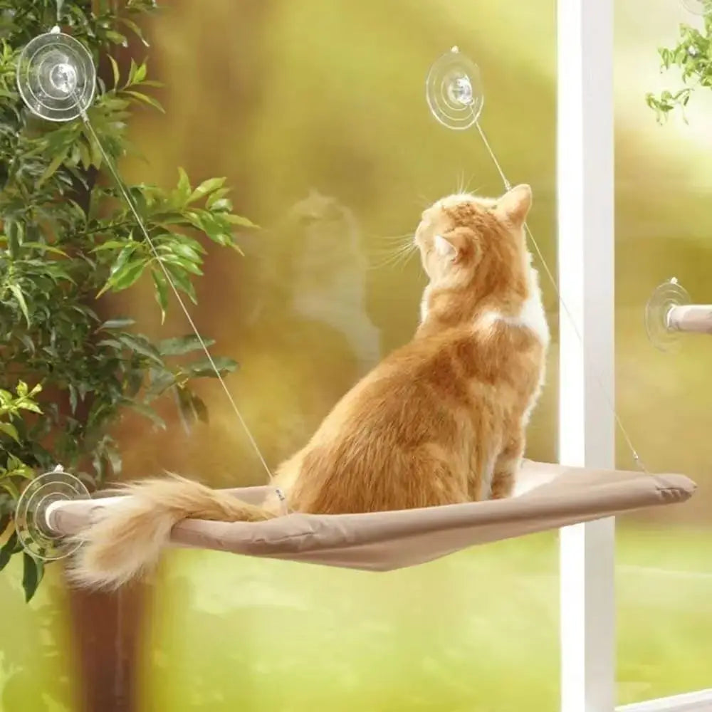 MC THE BLACK DIAMOND cat window bed with suction cup hammock, cozy perch for cats to relax by the window.