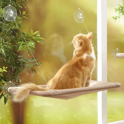 MC THE BLACK DIAMOND cat window bed with suction cup hammock, cozy perch for cats to relax by the window.