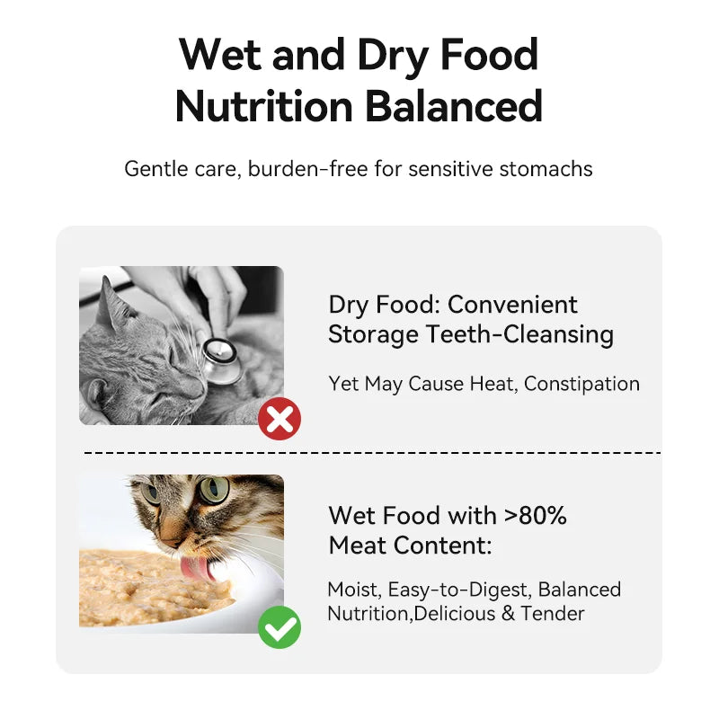 Wireless MC THE BLACK DIAMOND automatic pet feeder dispensing 4 meals of wet and dry food for cats and dogs.