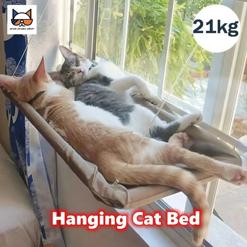 MC THE BLACK DIAMOND cat window bed with hammock and suction cups, cozy perch for cats to relax by the window
