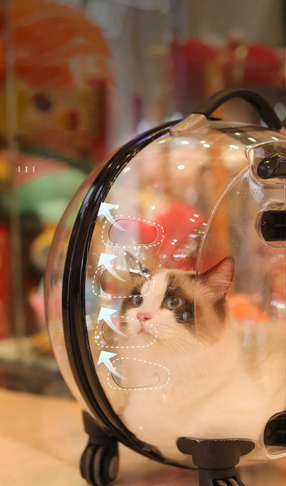 Transparent MC THE BLACK DIAMOND cat carrier backpack with hard sides, spacious design, and portable trolley for outdoor travel.