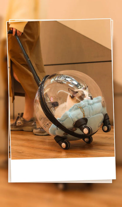 Transparent hard-sided pet carrier for cats, MC THE BLACK DIAMOND outdoor trolley case with large capacity and space capsule design