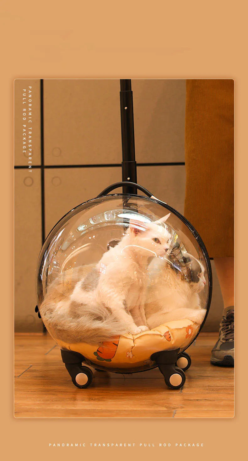 Transparent MC THE BLACK DIAMOND hard-sided cat carrier with large capacity, outdoor trolley, and space capsule design for travel.