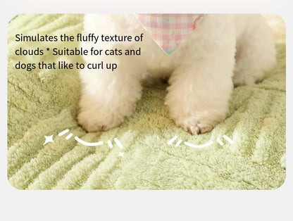 Small dog Teddy bear-shaped winter pet bed by MC THE BLACK DIAMOND, thick, warm, all-season dog mat for cozy sleeping.